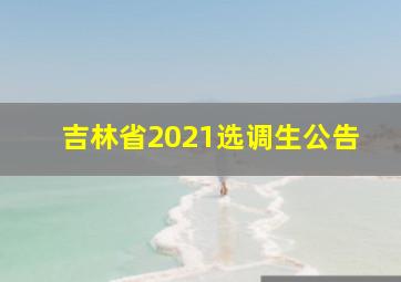 吉林省2021选调生公告