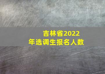 吉林省2022年选调生报名人数