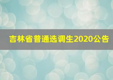 吉林省普通选调生2020公告