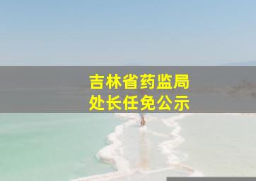 吉林省药监局处长任免公示