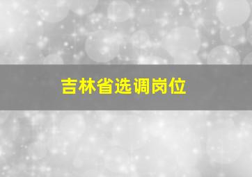 吉林省选调岗位