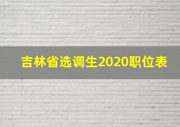 吉林省选调生2020职位表