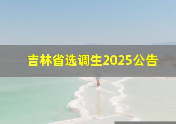 吉林省选调生2025公告