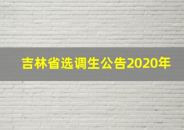 吉林省选调生公告2020年