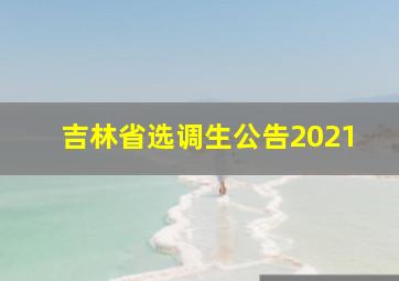 吉林省选调生公告2021