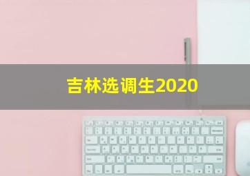 吉林选调生2020