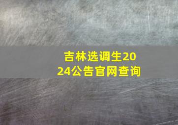 吉林选调生2024公告官网查询