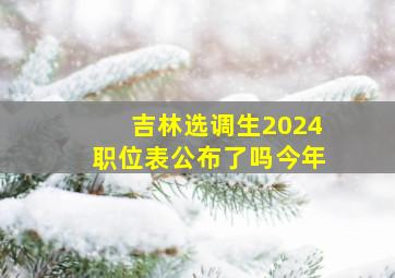 吉林选调生2024职位表公布了吗今年