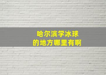 哈尔滨学冰球的地方哪里有啊