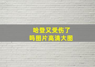 哈登又受伤了吗图片高清大图