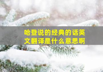 哈登说的经典的话英文翻译是什么意思啊