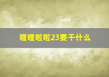 哩哩啦啦23要干什么