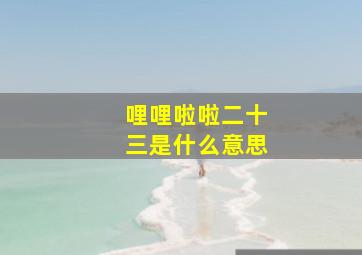 哩哩啦啦二十三是什么意思