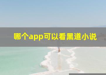 哪个app可以看黑道小说