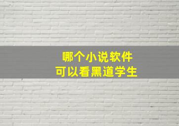 哪个小说软件可以看黑道学生