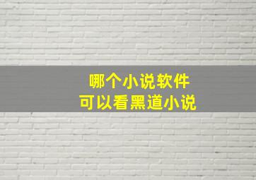 哪个小说软件可以看黑道小说