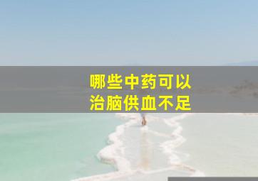 哪些中药可以治脑供血不足