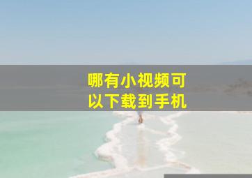 哪有小视频可以下载到手机