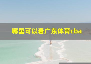 哪里可以看广东体育cba