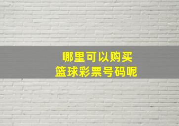 哪里可以购买篮球彩票号码呢