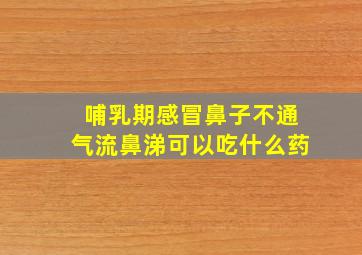 哺乳期感冒鼻子不通气流鼻涕可以吃什么药