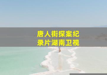 唐人街探案纪录片湖南卫视