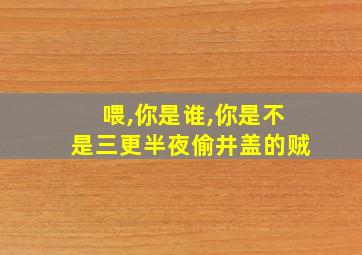 喂,你是谁,你是不是三更半夜偷井盖的贼