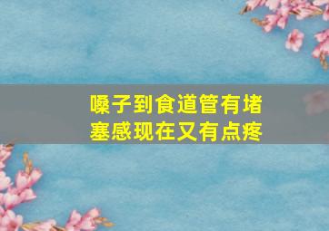 嗓子到食道管有堵塞感现在又有点疼