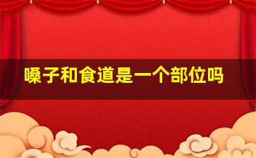 嗓子和食道是一个部位吗