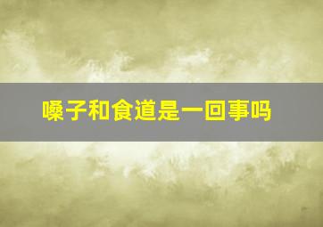 嗓子和食道是一回事吗