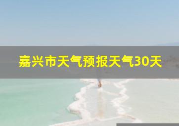 嘉兴市天气预报天气30天