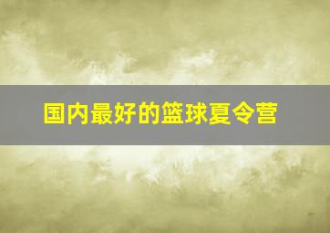 国内最好的篮球夏令营