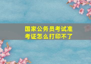 国家公务员考试准考证怎么打印不了