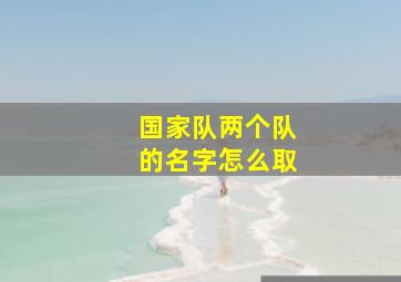 国家队两个队的名字怎么取