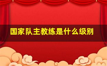 国家队主教练是什么级别