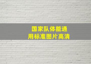 国家队体能通用标准图片高清