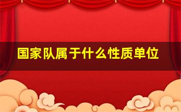 国家队属于什么性质单位