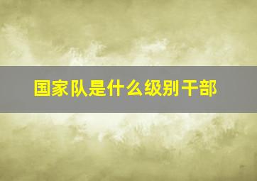 国家队是什么级别干部