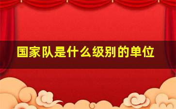 国家队是什么级别的单位