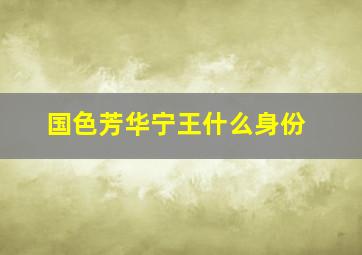 国色芳华宁王什么身份