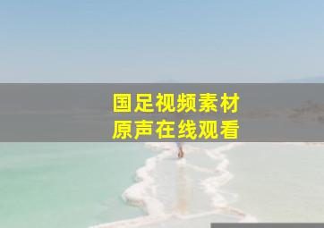 国足视频素材原声在线观看