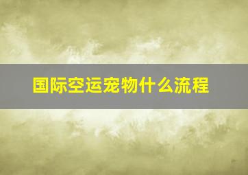 国际空运宠物什么流程