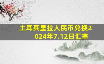 土耳其里拉人民币兑换2024年7.12日汇率