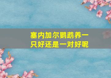 塞内加尔鹦鹉养一只好还是一对好呢