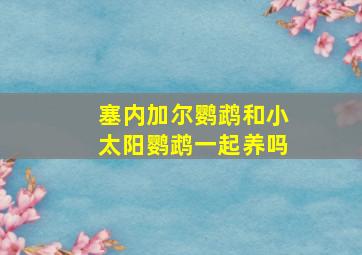 塞内加尔鹦鹉和小太阳鹦鹉一起养吗