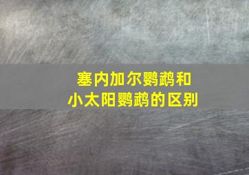 塞内加尔鹦鹉和小太阳鹦鹉的区别