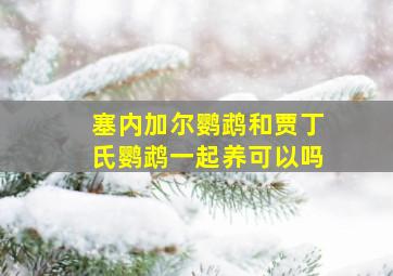 塞内加尔鹦鹉和贾丁氏鹦鹉一起养可以吗