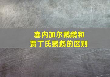 塞内加尔鹦鹉和贾丁氏鹦鹉的区别