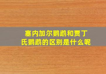 塞内加尔鹦鹉和贾丁氏鹦鹉的区别是什么呢