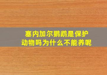 塞内加尔鹦鹉是保护动物吗为什么不能养呢